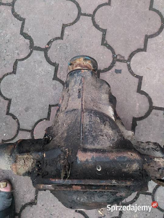 Polonez Citroen Caro osdobowy most 19D 1141
