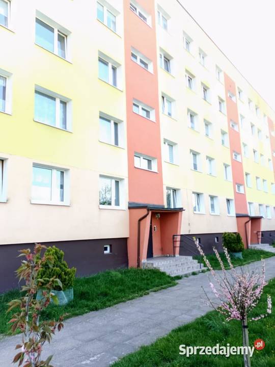 Kawalerka z potencjałem w bliskim centrum parter Nieruchomości Lębork