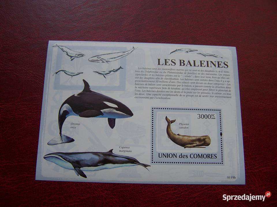Komory 2009 MNH Fauna Wieloryby Tychy sprzedam