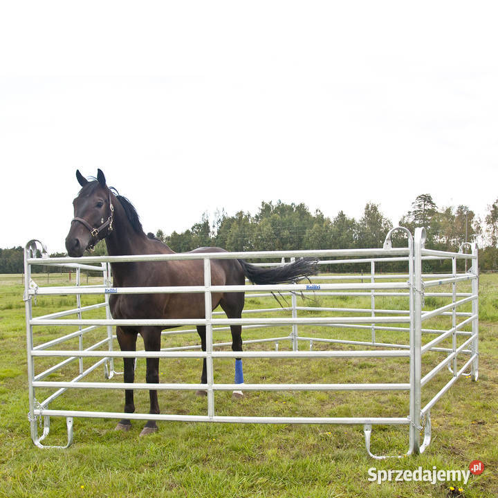 Bramka z podporami łukowymi ogrodzenie zwierząt Chojnice sprzedam
