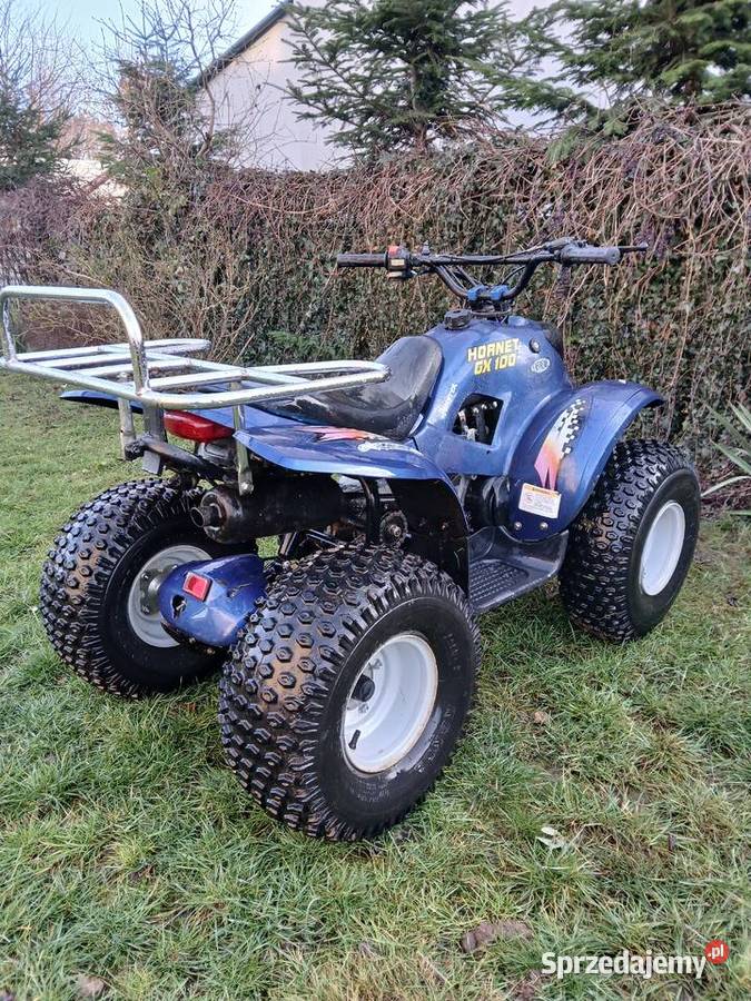 QUAD SMC HORNET GX100 HONDA 2T MOCNY ZRYWNY świętokrzyskie