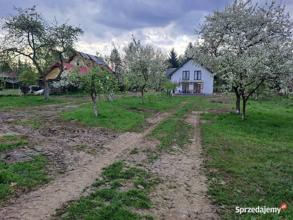 Usługi glebogryzarką separacyjną przygotowanie Nowosielce