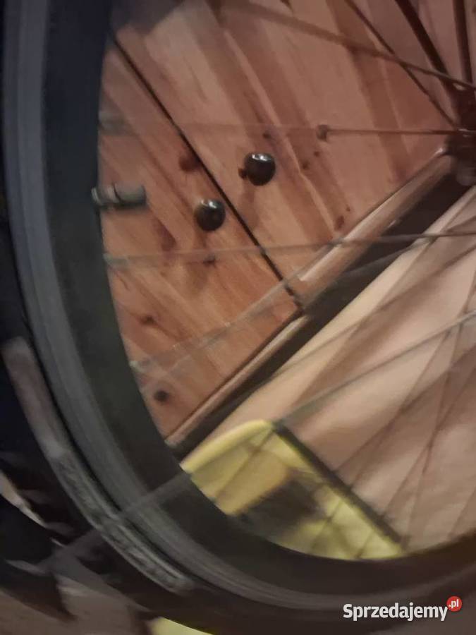 Rower Kalkhoff Blackwood Magnum Paseo Miejskie Szczecin