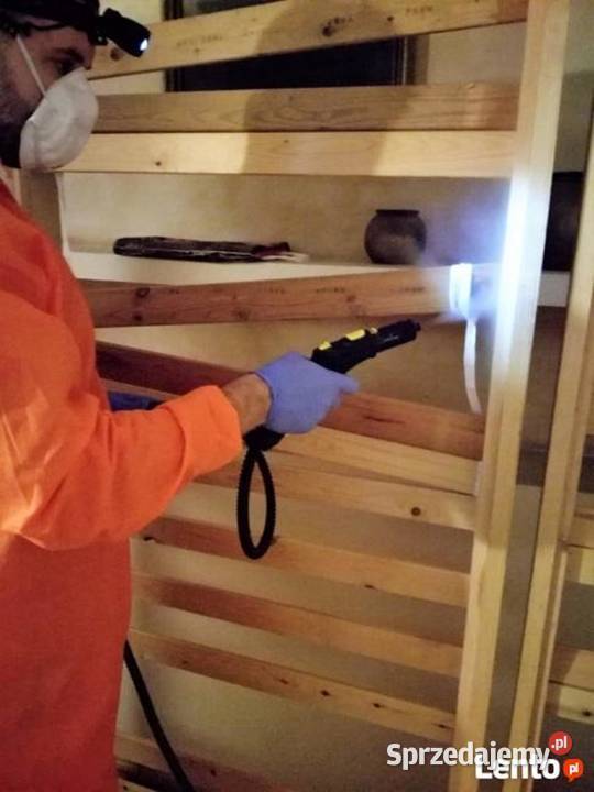 Dezynsekcja Pluskwy Certyfikowany Poziom Wyższy