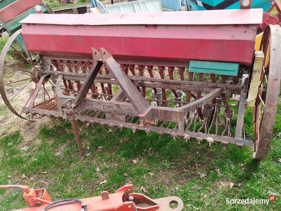 Siewniki 21 redlic Radoszyce