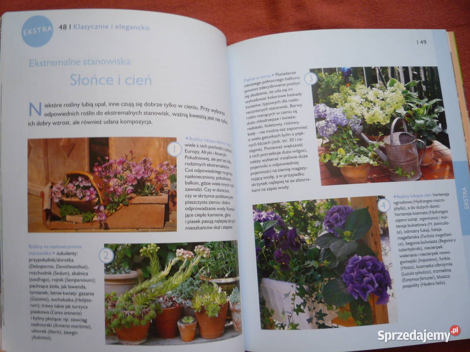 Nowa Balkony Piękne Ogrody Poradnik poradnik Poradniki, albumy i reportaże Książki i Podręczniki zachodniopomorskie