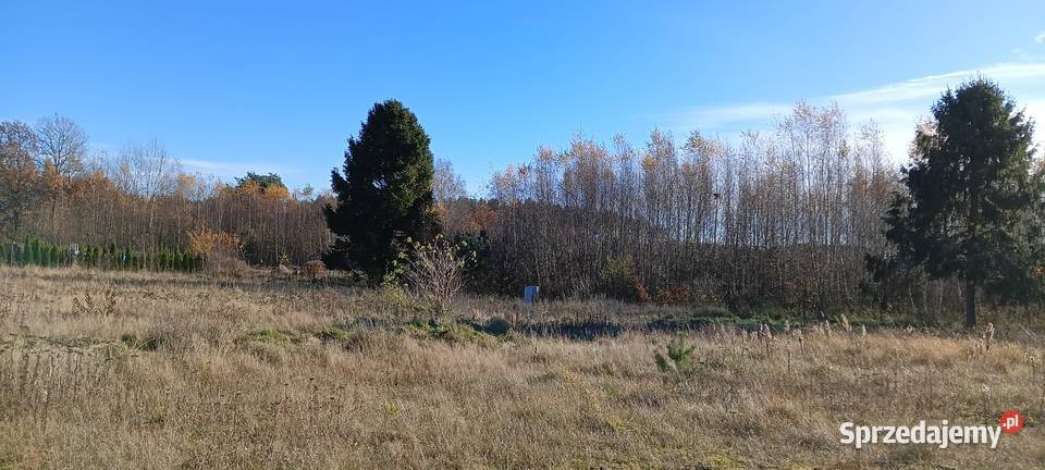 4 działki z MPZP w Koleczkowie siatka Koleczkowo