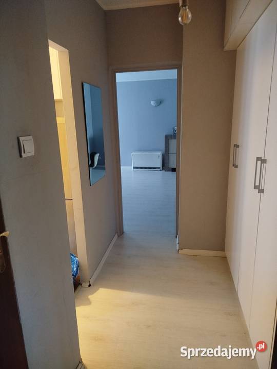 Sprzedam mieszkanie w centrum Gliwic 50 m2 6600zł/m2 Gliwice
