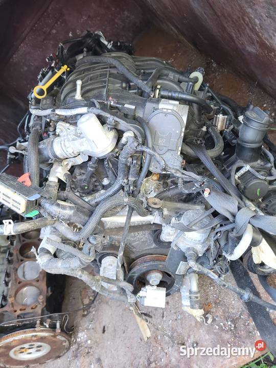 silniki Pacyfica 36 dodge charger 36 ram 57 hemi Konin