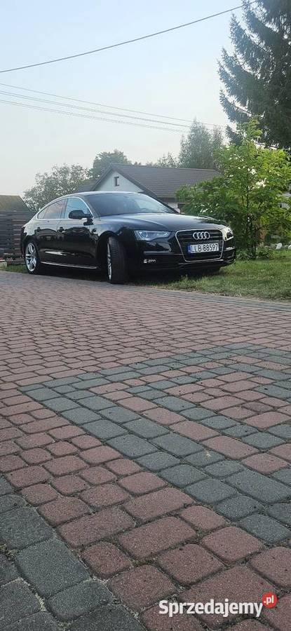 Audi A5 Sportback 30 TDI bluetooth Lubartów