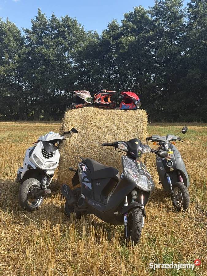 Peugeot speedfight 2