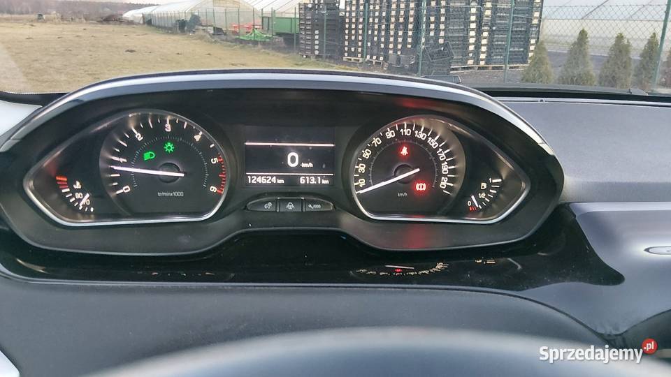 Peugeot 208 eHdi 92konie immobilizer śląskie Częstochowa
