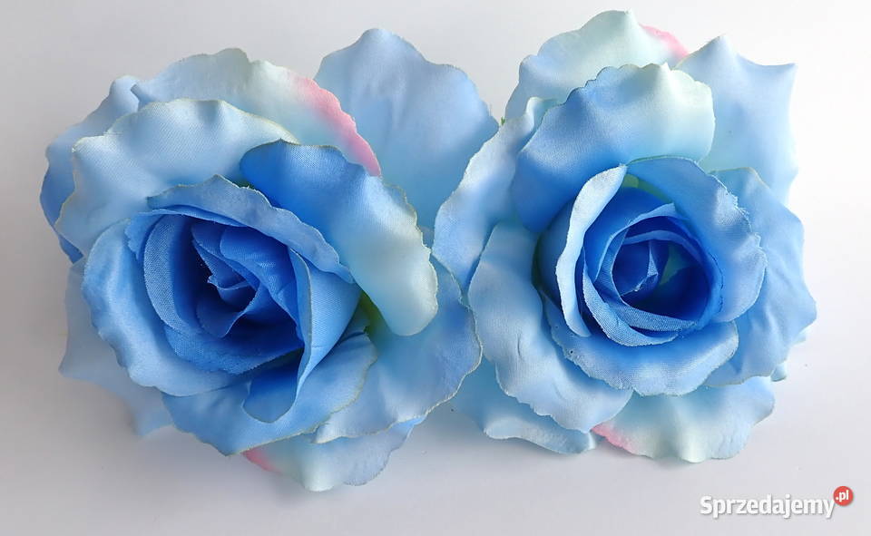 Róże rozwinięte różne kolory 1 śred 13 F004 Siewierz