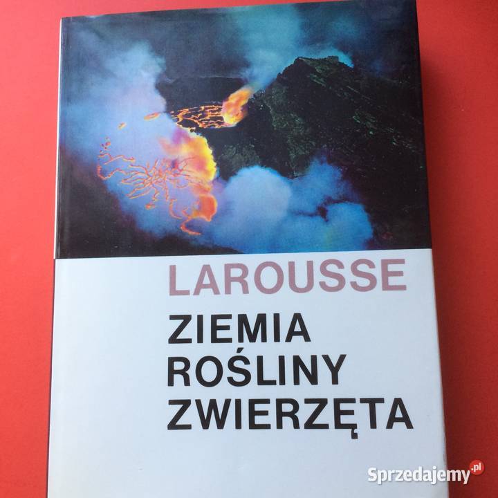 2582 Encyklopedia Larousse Antyki, Sztuka, Kolekcje