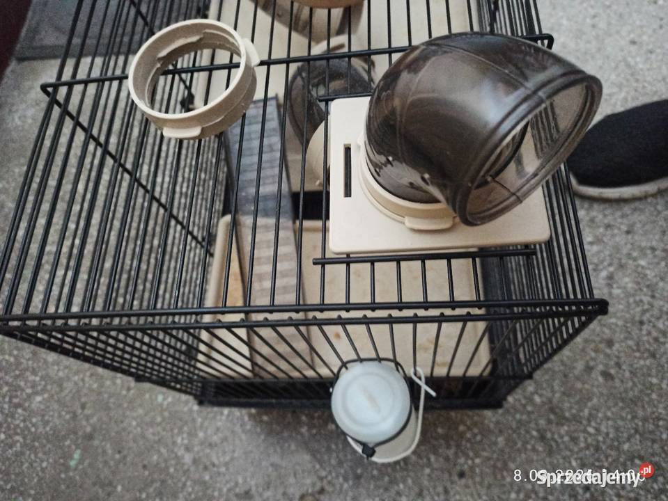 Klatka na gryzonie Koszalin