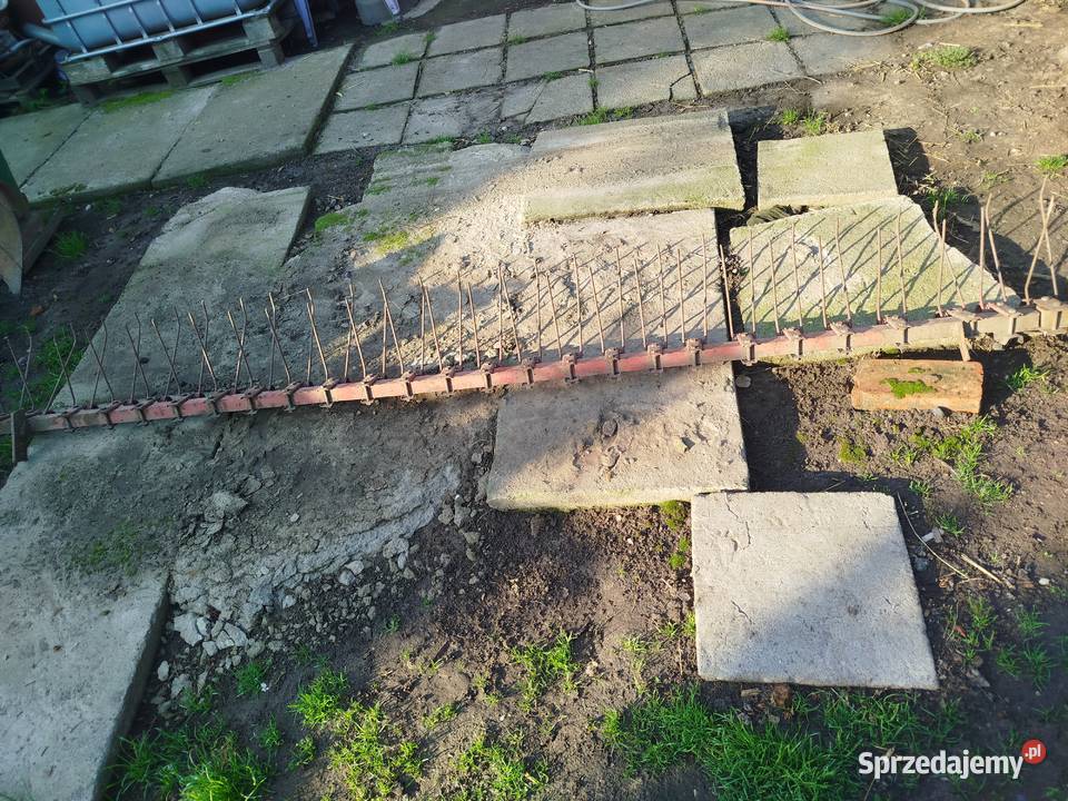 Siewnik Poznaniak 27m 27 m Włoszakowice