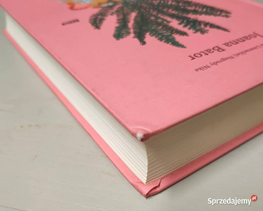 Chmurlandia Joanna Bator Sosnowiec