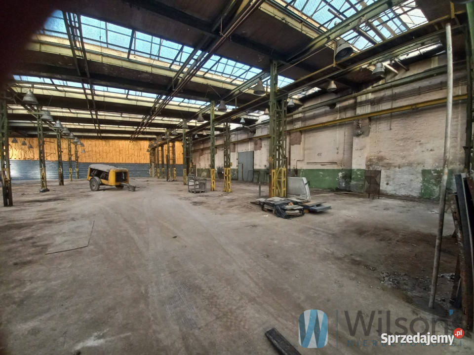 Do wynajęcia lokal 600m2 Wrocław Wynajem