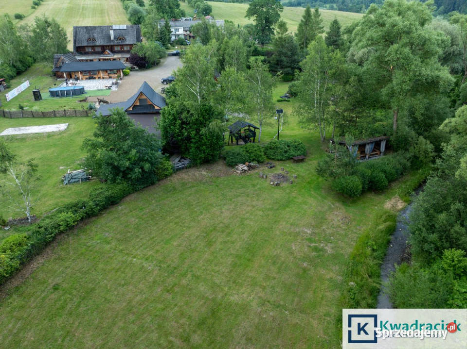 Lokal Łodyna 10000m2 podkarpackie