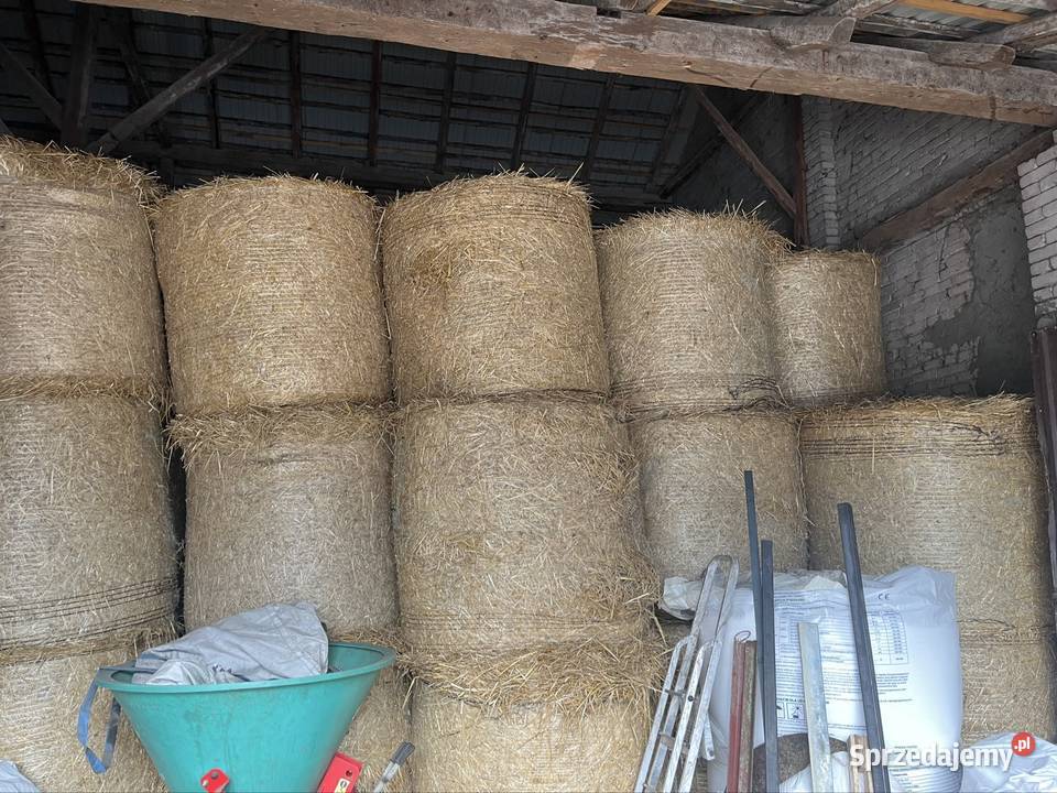 bale słomy 120 sprzedam