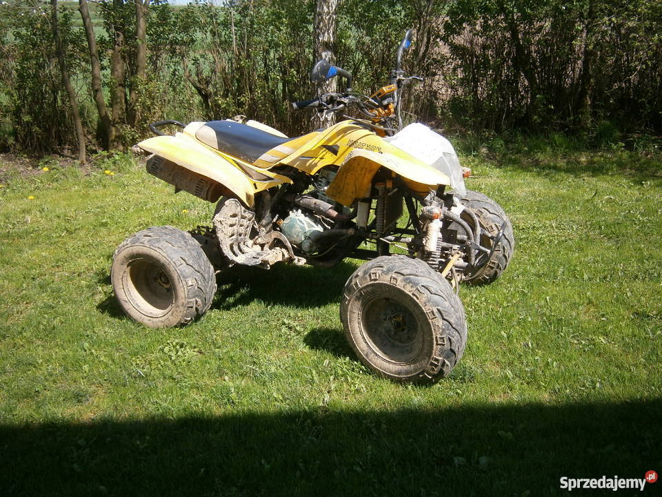 Bashan 200 drugi Bashan na części Rok produkcji 2008 Pozostałe Ropczyce