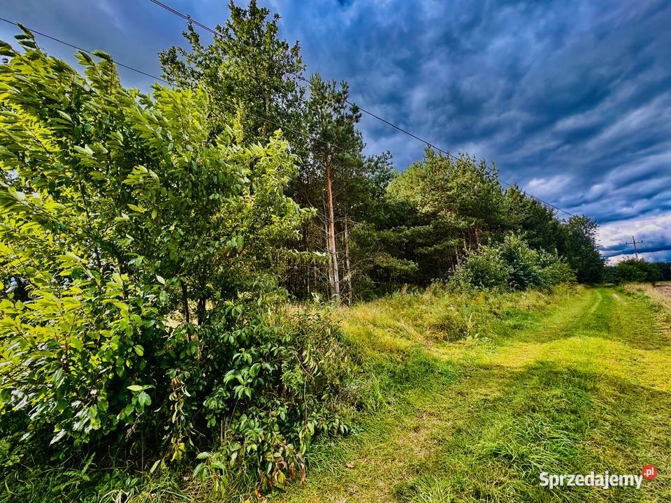 Drygały piękna działka 14 ha w otoczeniu lasów i warmińsko-mazurskie