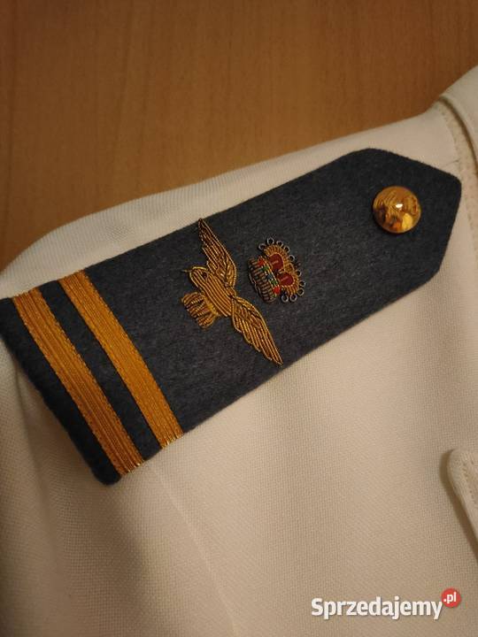 Półfrak oficera lotnictwa RAF Mundur wojskowy Militaria wielkopolskie Kościan