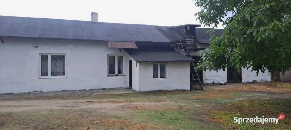 Sprzedam siedlisko Sprzedaż Łąki Markowe