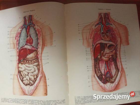 Lekarski poradnik domowy medycyna interna Łódź