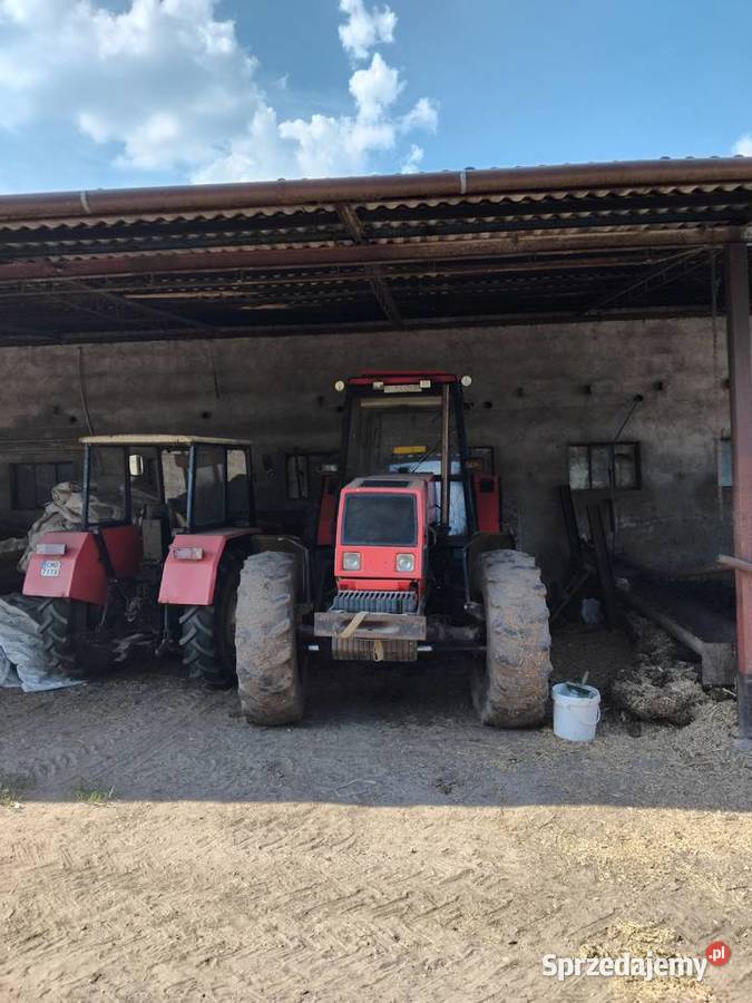 Zetor zts Mogilno