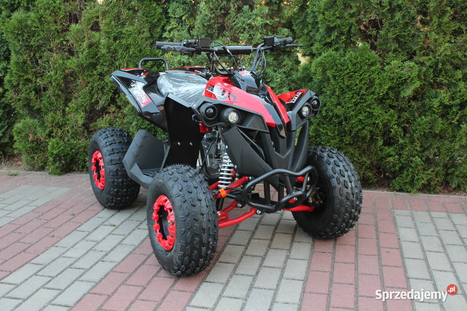 Quad RENEGADE 125 półautomat 31 Warrior Goleniów