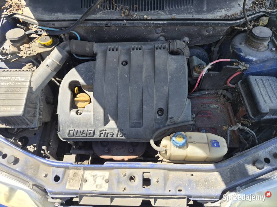 Sprzedam Fiat Albea Wiskitki