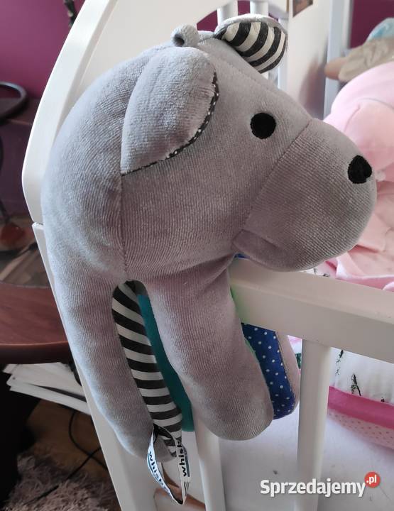 Szumiący Miś Sensoryczny Szumiś Gorzów Wielkopolski