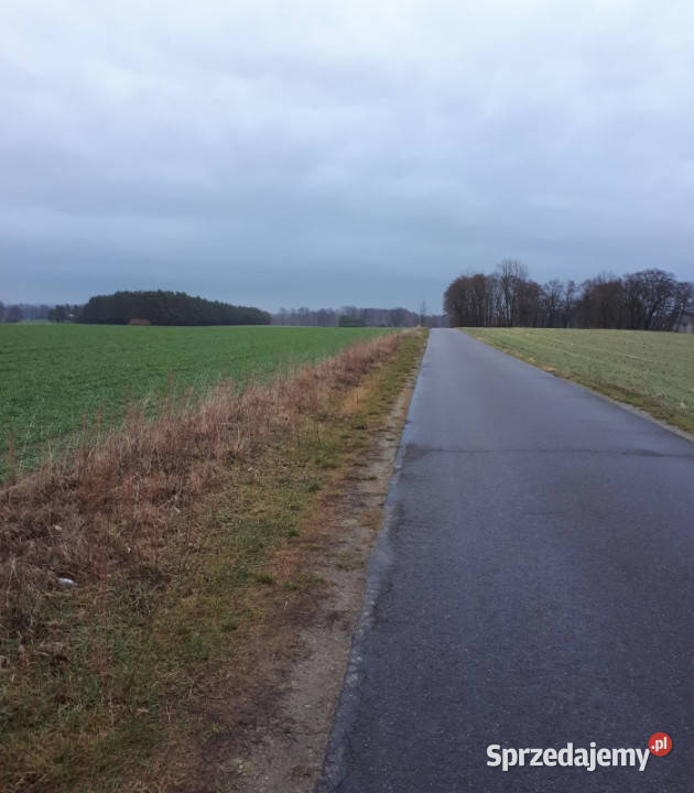 Sprzedam działki Kakawa Stara wielkopolskie Stara Kakawa