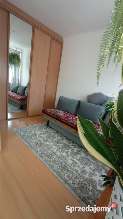 Mieszkanie w centrum miasta lubelskie Chełm