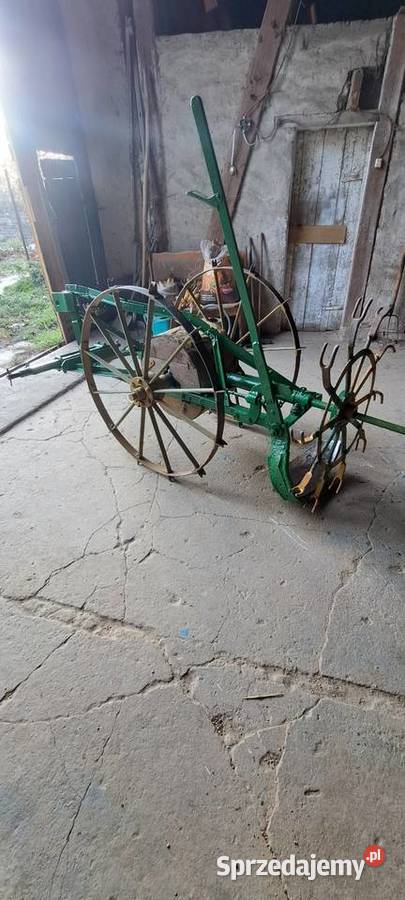 Kopaczka konna niemiecka Lusina