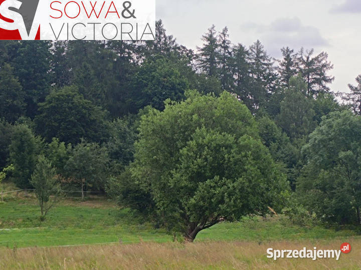 Działka lesie w sąsiedztwie zalewu utwardzona dolnośląskie Stare Bogaczowice sprzedam