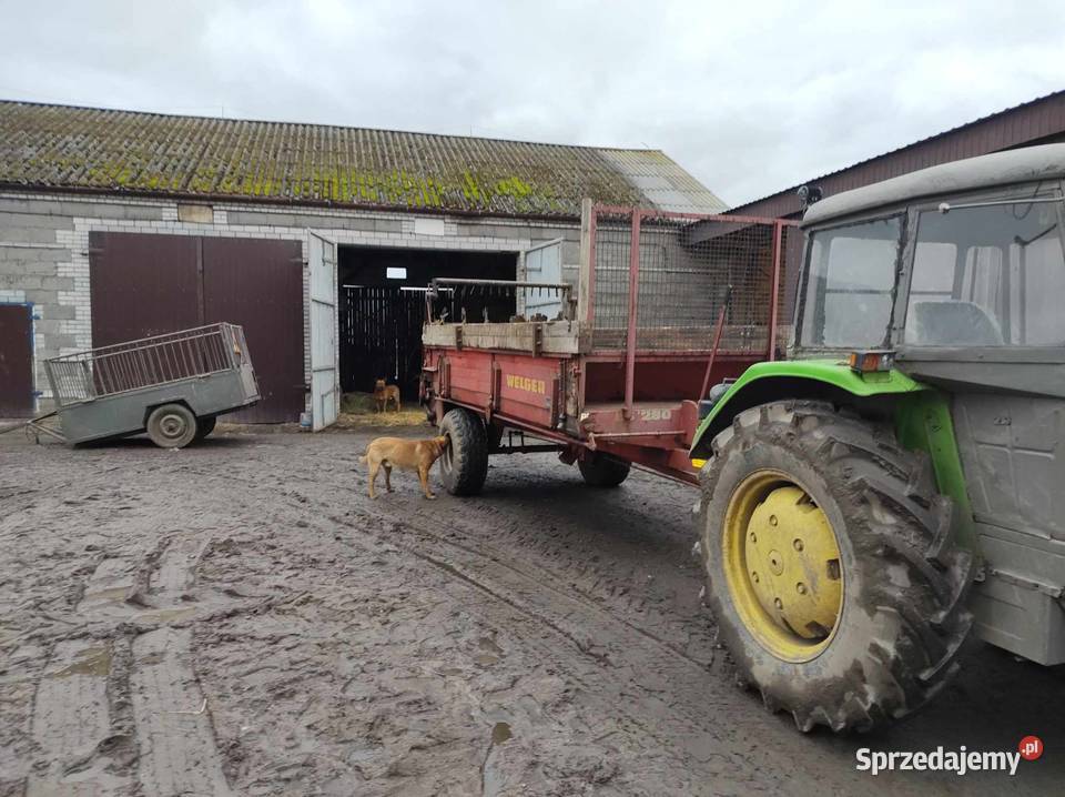 Rozrzutnik 6 t Welger nieuszkodzony Gostynin
