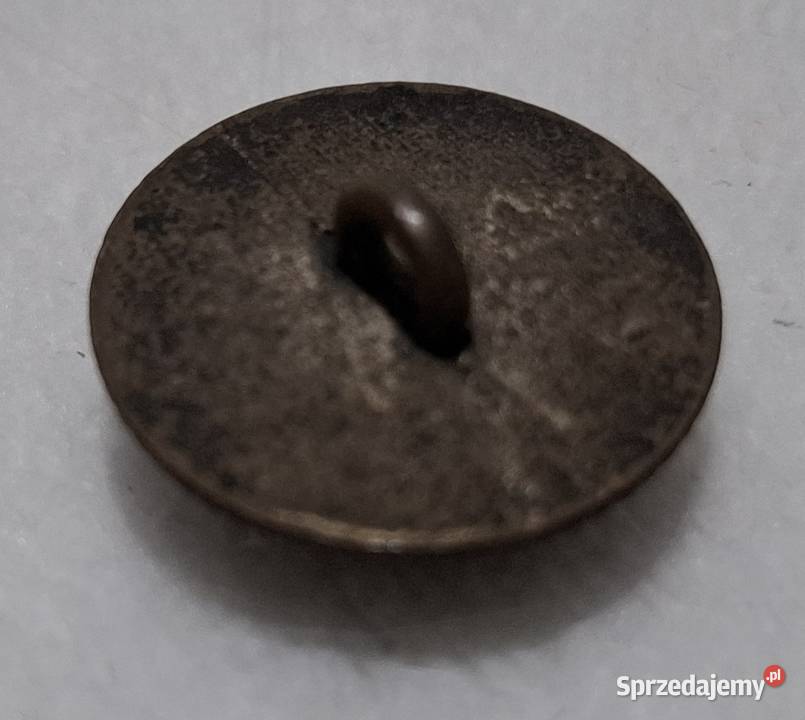 Guzik na stopce Herb liść laurowy korona 20x7mm Pozostałe sprzedam
