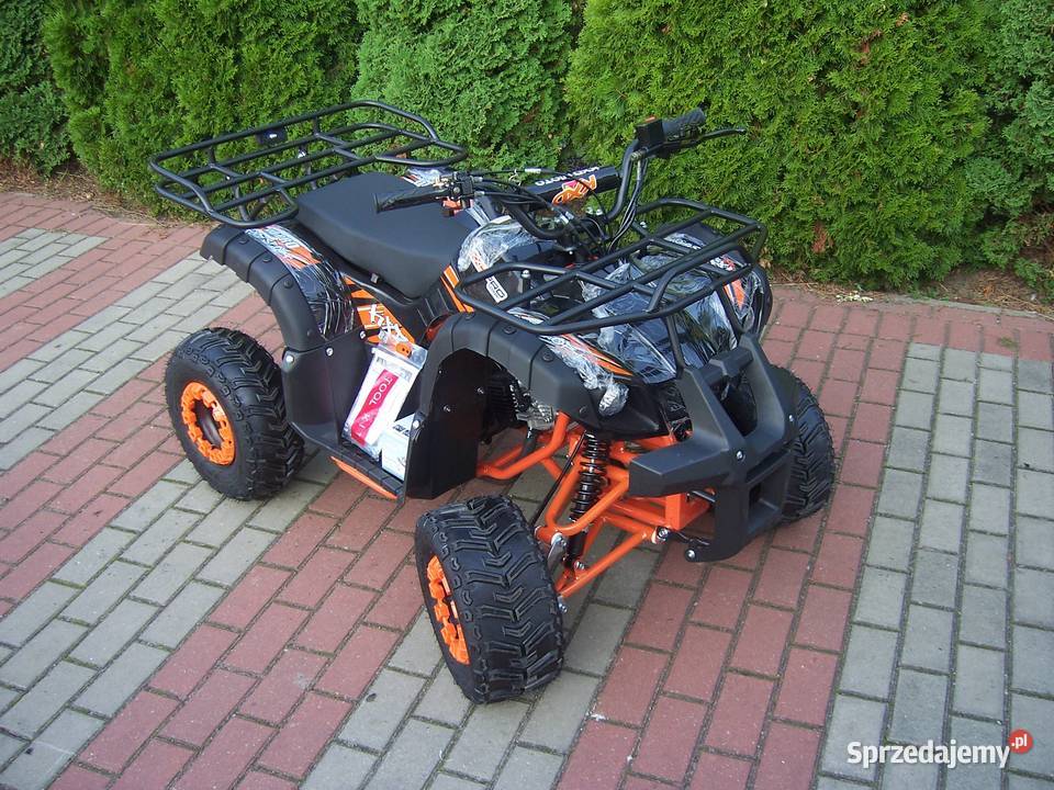 Quad KXD HAMMER 110 cc 125 cc automat 11 dzieci 125cm3 Goleniów