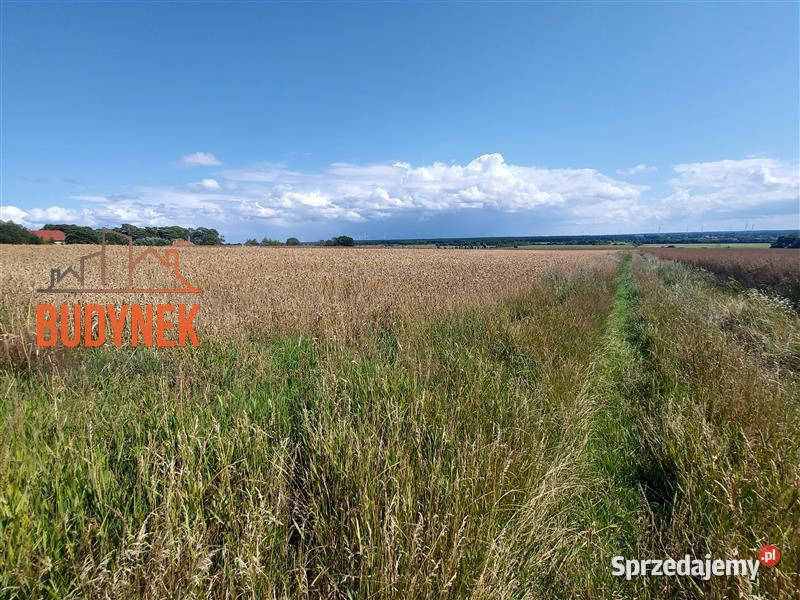 Działka rolna Kopnica Sprzedaż sprzedam