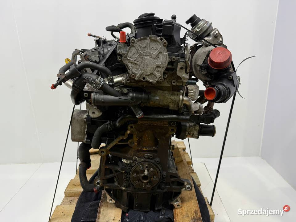 SILNIK CAY VW Golf VI Polo V Touran II 1T Passat Chełm