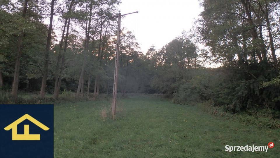 Działka budowlana w Jabłonnej gminie Grębków budowlana Jabłonna