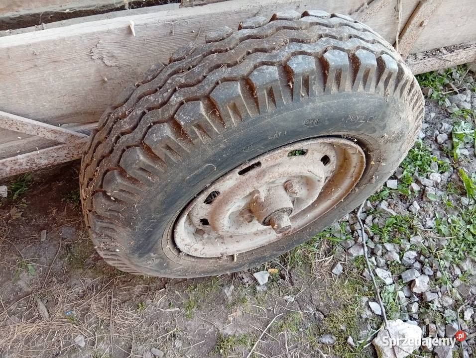 Wózek klatka bydła Pozostałe Równianki