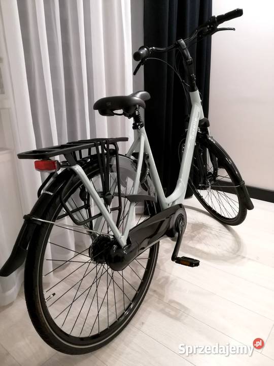 Gazelle Orange C7 2025