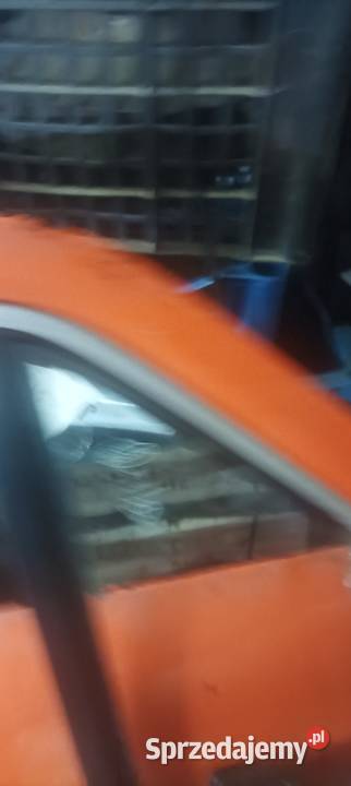 Drzwi 126p st Żywiec