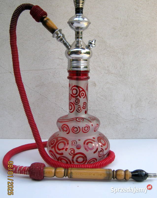 Sisza fajka wodna duża małopolskie Kraków