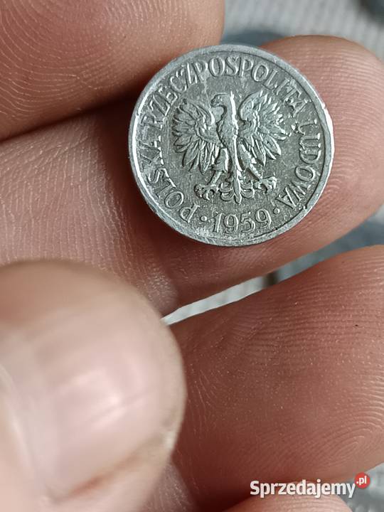 Sprzedam monete 5 groszy 1949 xxx Numizmatyka Chełm