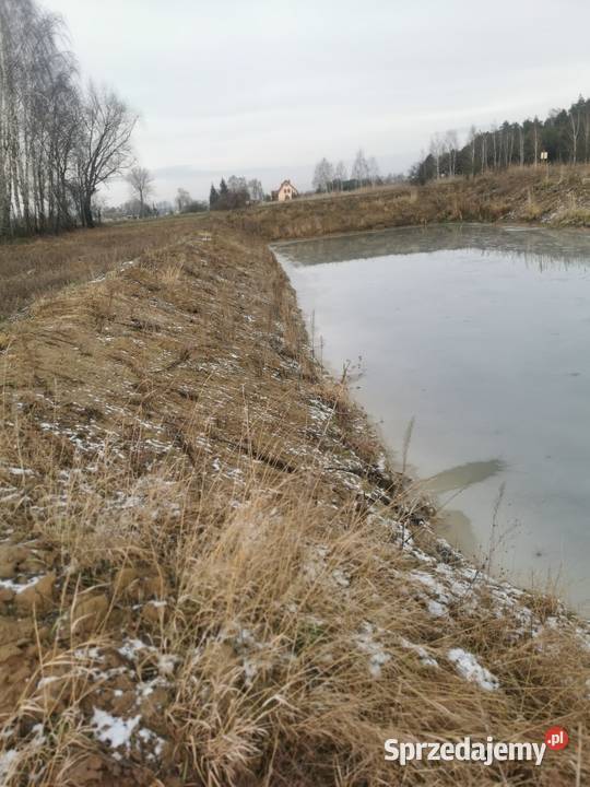 Sprzedam Lub wydzierżawie stawy rybne