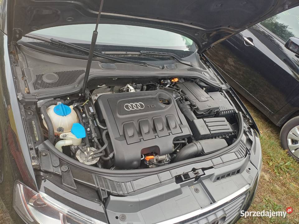 Sprzedam audi a3 tempomat Wólka Podleśna